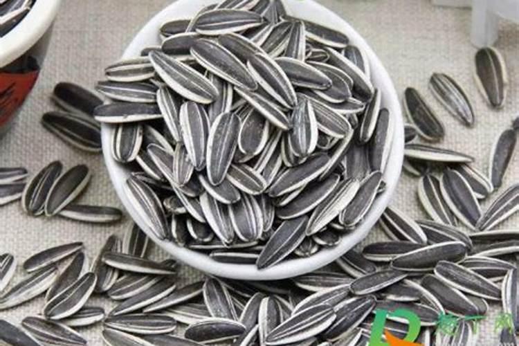 瓜子壳可以当肥料放花盆里吗