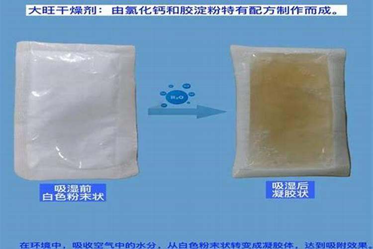 绿植黄叶是缺什么营养