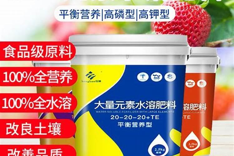 小雏菊移栽后枯萎了怎么办 刚移栽的花可以晒太阳吗