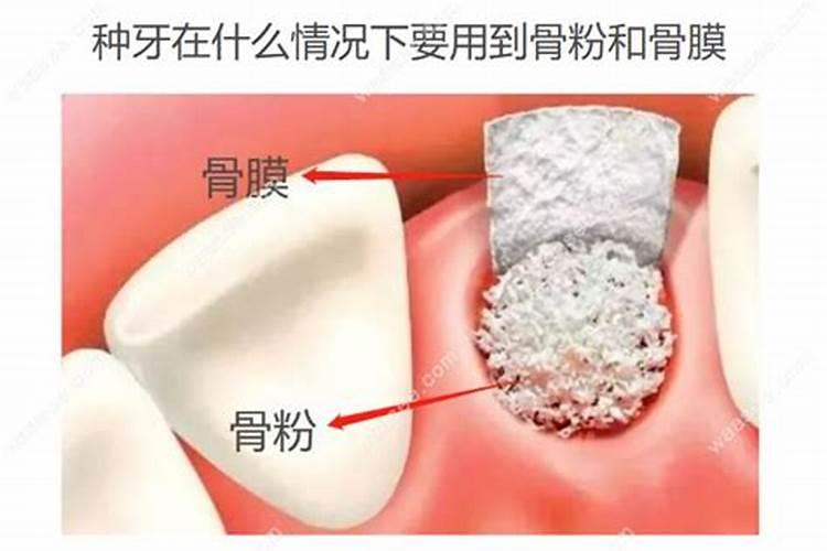 骨粉肥料怎么施肥最好