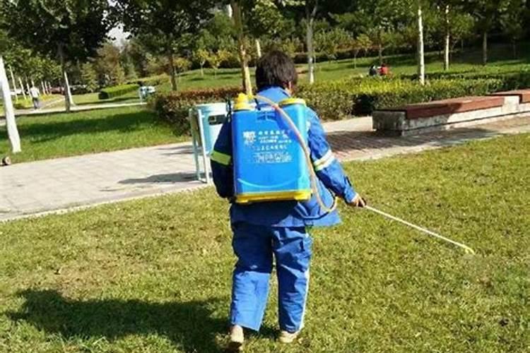 鱼蛋白肥如何辨别好坏？