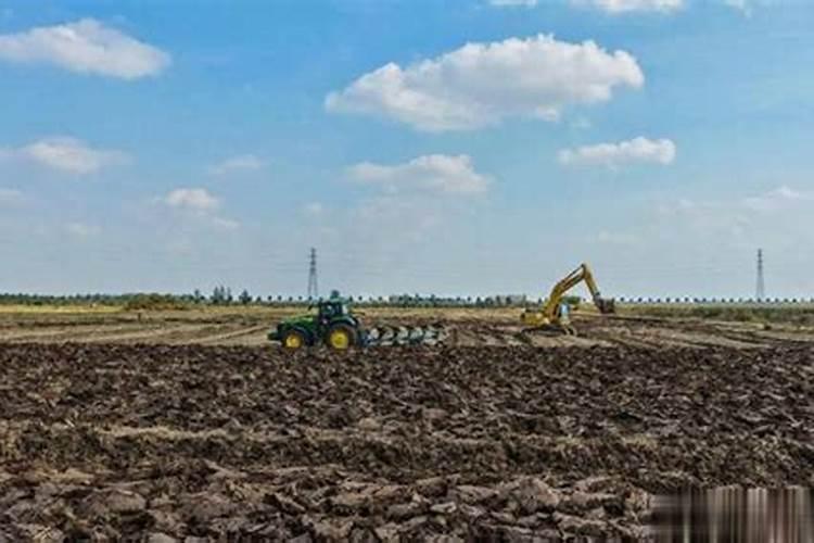 麦田磷肥肥效低,如何提高麦田磷肥肥效？