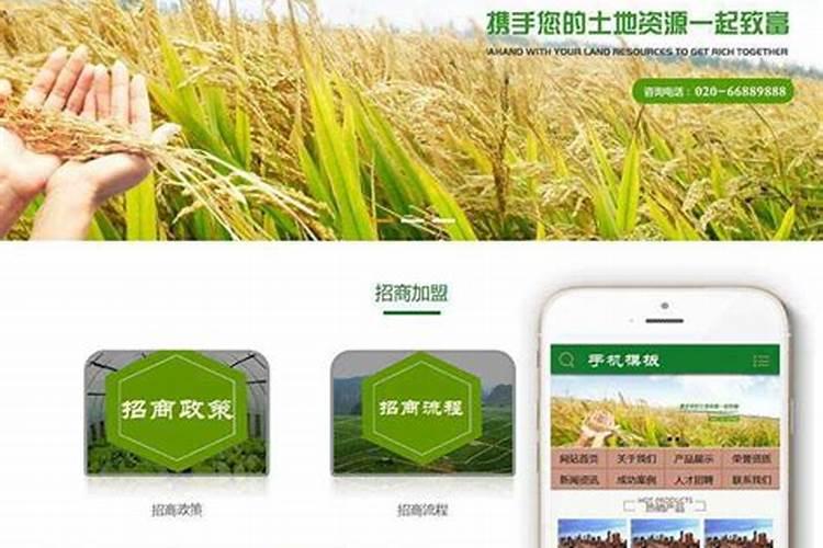 中国化肥网是什么？如何高效利用？