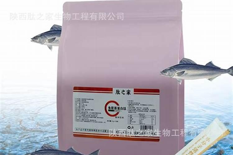 鱼蛋白概念股有哪些(开心模拟炒股)？鱼蛋白概念股名单