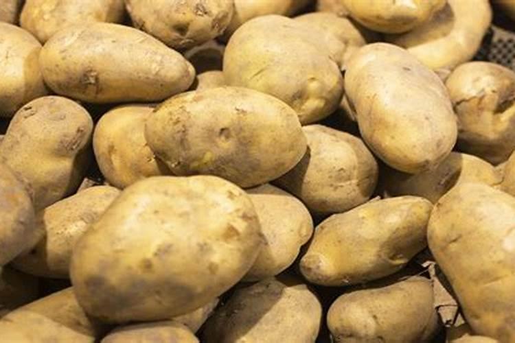 种土豆用什么肥料好