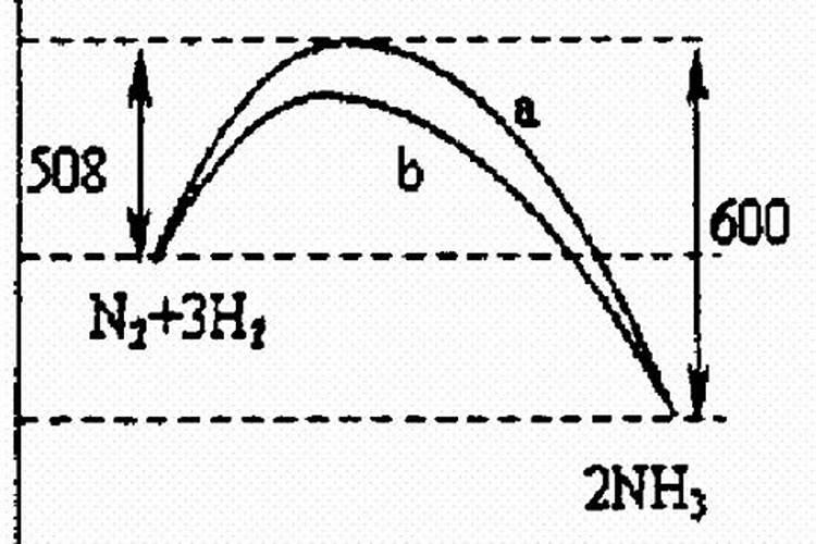 长寿花施肥时间和方法