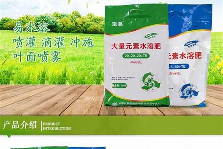 含磷低且含钾低的食物有哪些