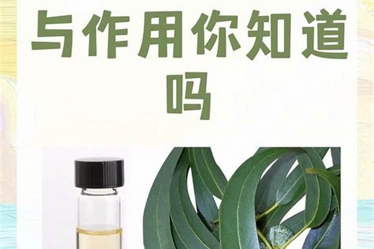 叶面肥什么时候用效果最佳？