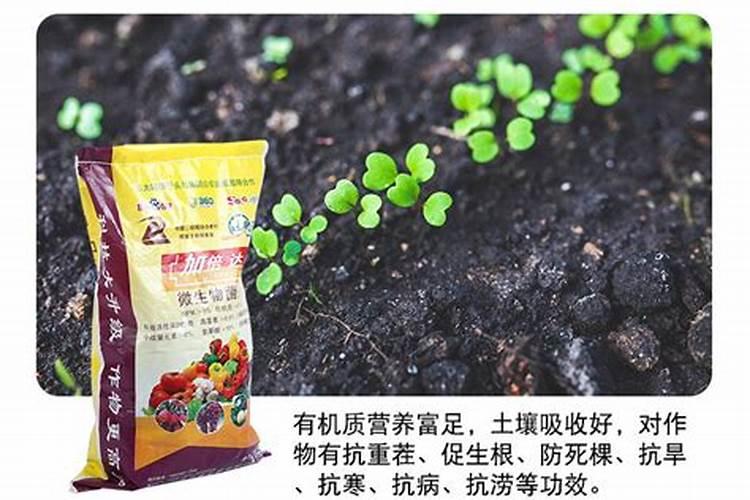 生物菌肥和土壤调理剂是不是同一种肥料