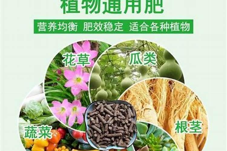 为什么息乐佳水解配方营养米粉要采用双酶解工艺？