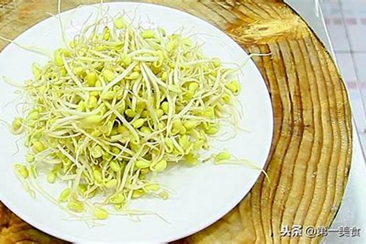 绿叶植物用什么肥料