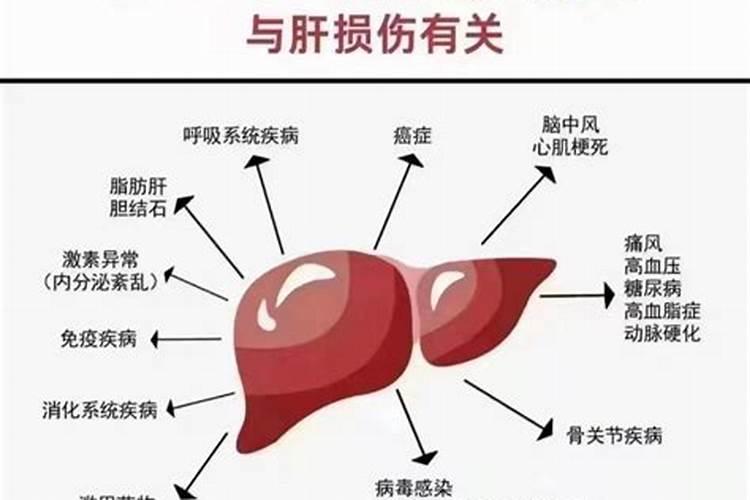 自制黄豆肥成功特征