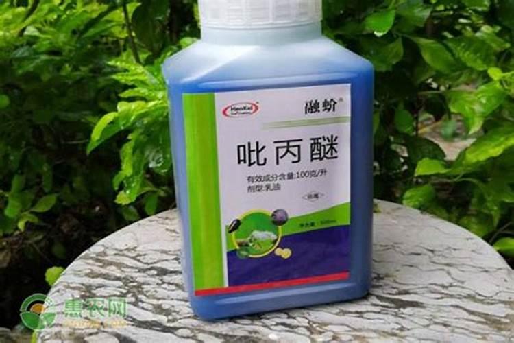 白粉虱用噻虫胺加吡丙醚可以吗