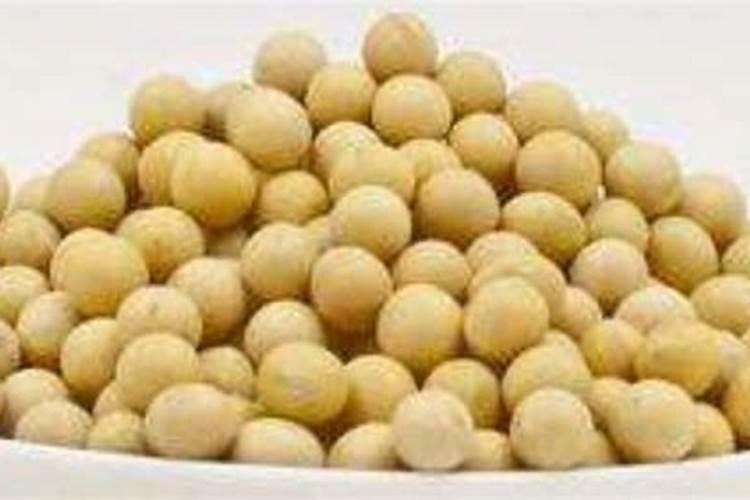 黄豆肥料怎么使用