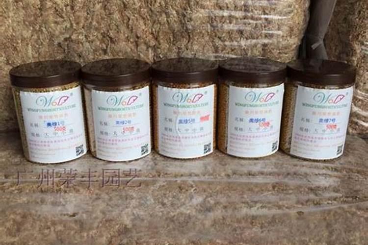 绿贝氨基酸水溶肥的效果怎么样呢？