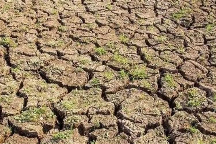 氮肥有哪些区别,怎么自制氮肥