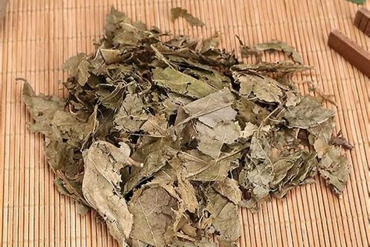 黄皮树怎样促花保果