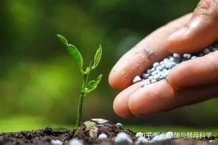 氯化钾肥的正确使用方法