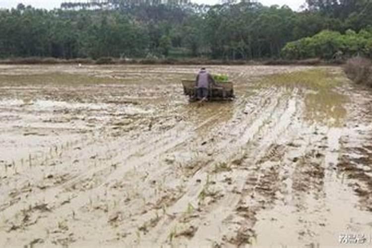 改良土壤常用的方法有哪三种