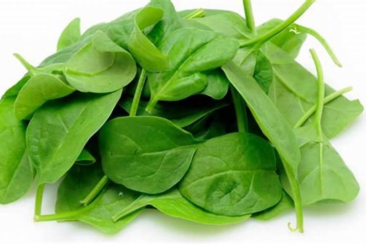 芸苔素使用有什么禁忌 芸苔素应该怎么使用