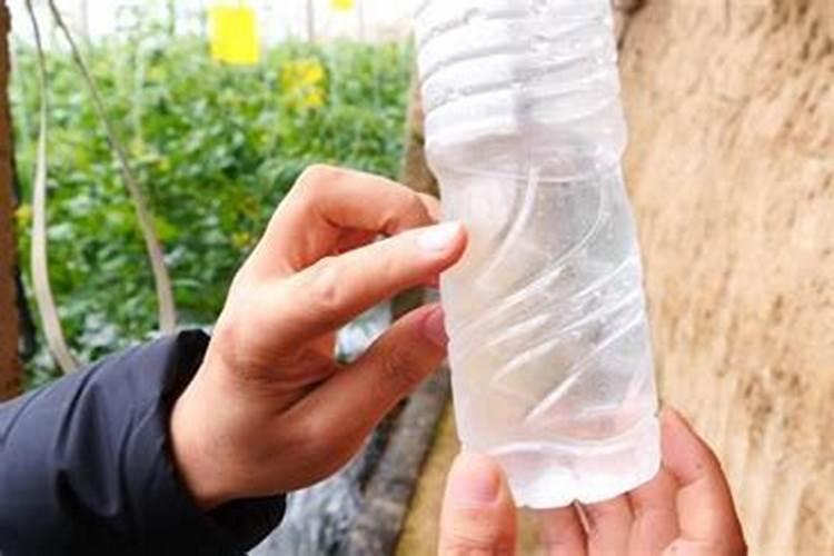 钙肥可以和磷酸二氢钾一起喷施吗