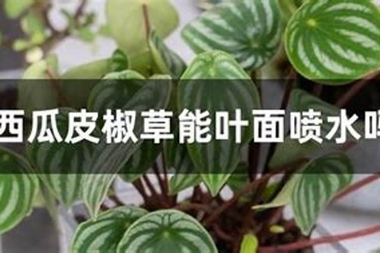 硫酸亚铁能与氮肥磷肥钾肥混用吗