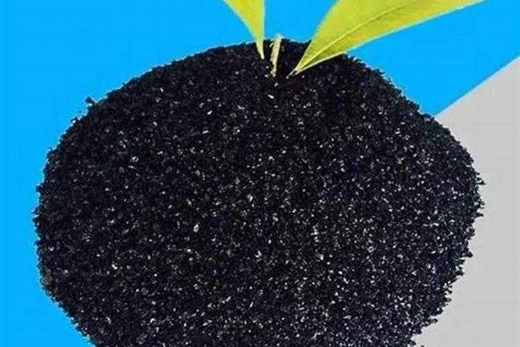 复合肥可以化成水施吗