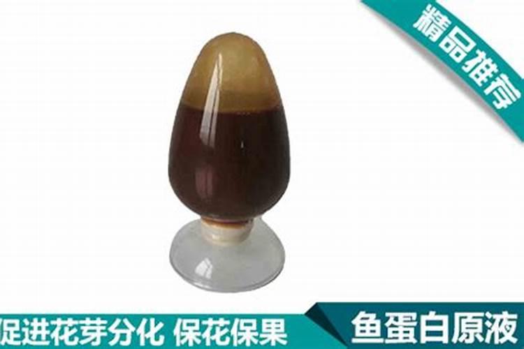 要是自制鱼蛋白时冒出氨气要怎么解决