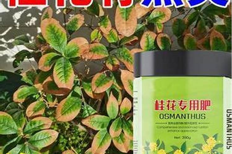 韭菜农药残留怎么去除