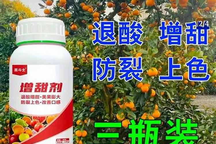 柑橘怎样能增甜 橘子的酸甜度有肥料的影响吗