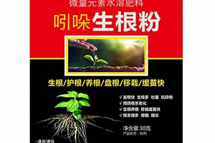 茶花施肥的正确方法