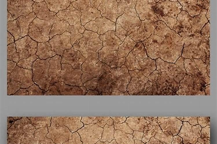 玉米苗片暗紫色,未用过任何药,这是怎么回事？