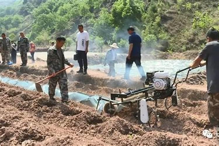 吃什么食物补钾最快？