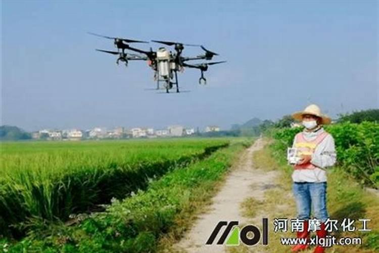 西红柿几天一浇水几天一施肥