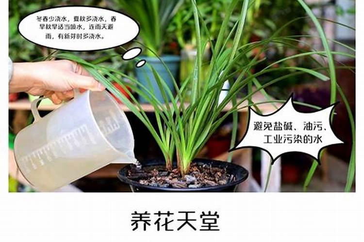 生物钾肥什么时候施用,如何施用