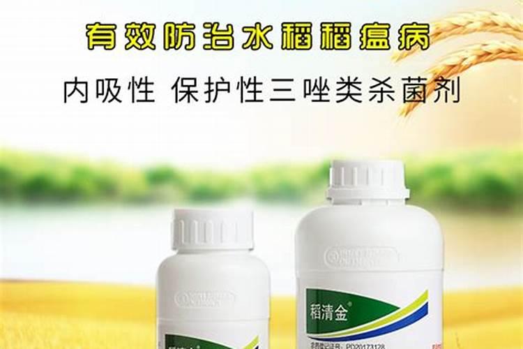 水稻发黄还得了稻瘟病怎么办