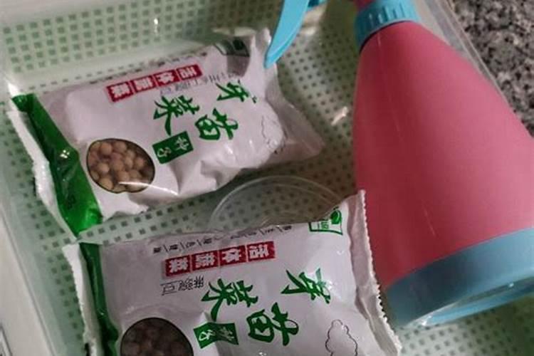 火龙果需要什么肥料 时间久了盆土都会溢出