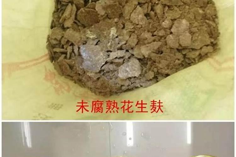怎样把豆饼用在白菜上做追肥怎样处理后肥效发挥的最快