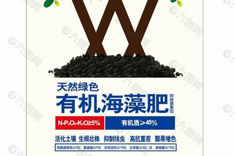 最好的海藻精是哪家