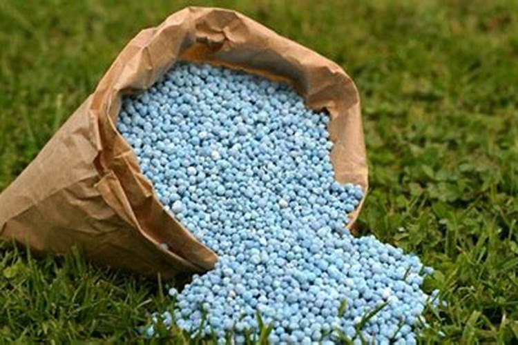 氮肥是什么做的