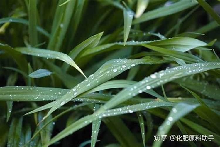 催芽肥料和催花肥料的区别