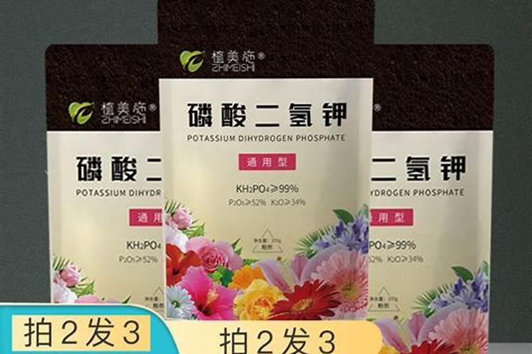 草莓第一茬果到第二茬果要多少天