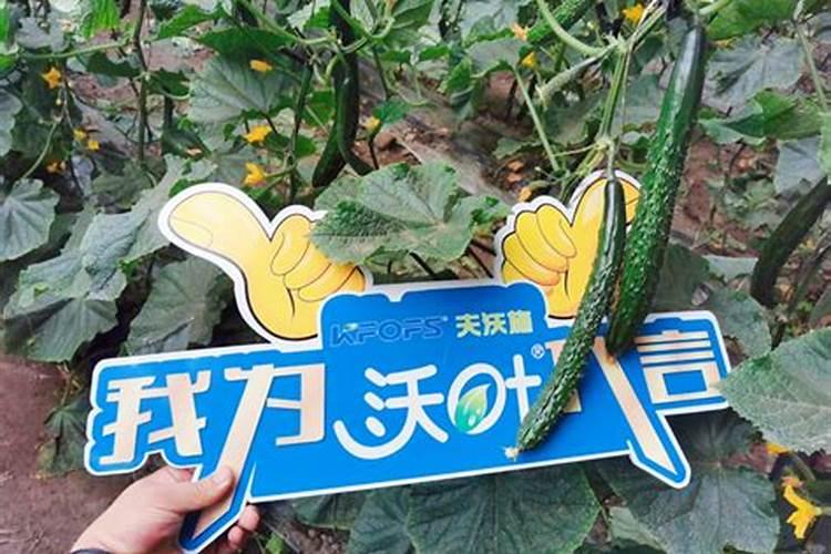 氨基酸水溶肥使用禁忌