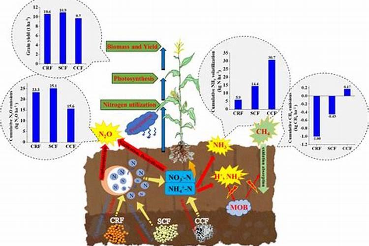 什么是含氨基酸水溶肥？