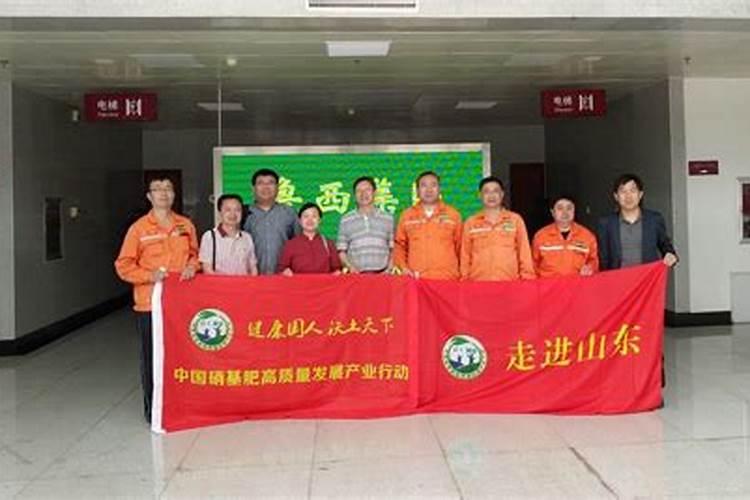 肥料股票龙头有哪些？