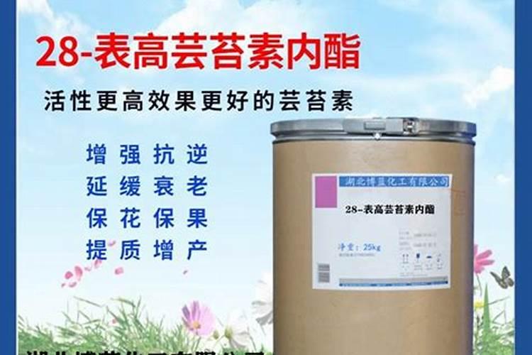 芸苔素在南疆什么地方有卖的