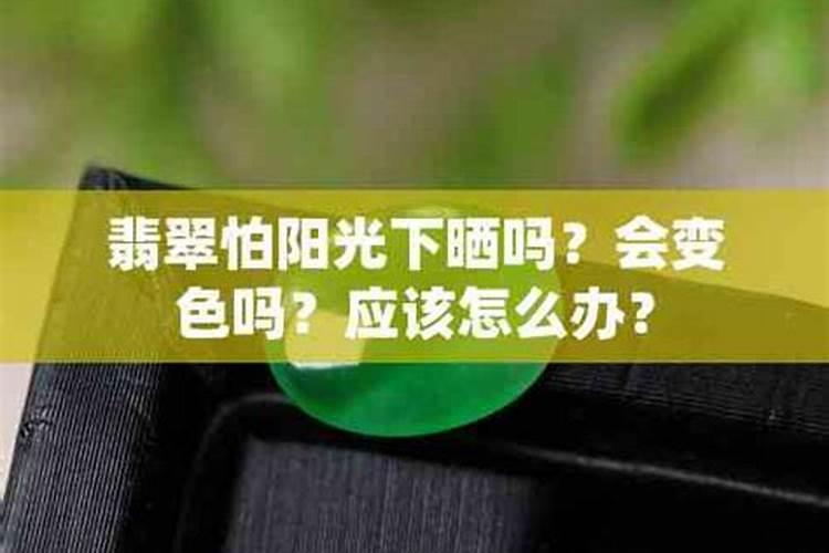 红松梅是不是夹竹桃？