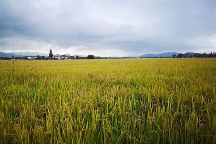 人类破坏地球的具体事例