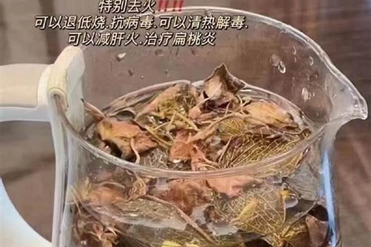 滇圣草金线莲种植用什么施肥？