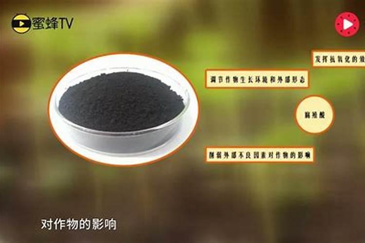 柑橘用什么肥料能生细根呢？